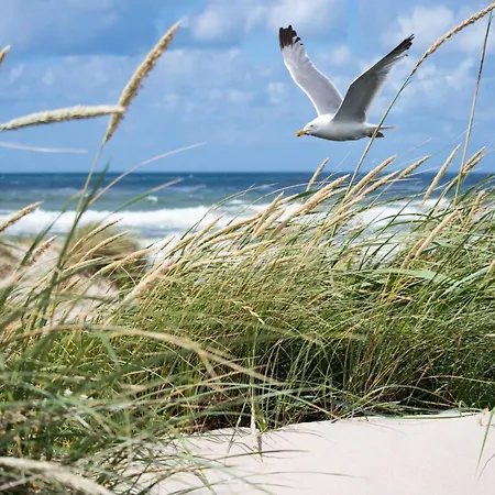 On Coast With Panoramic Views Knokke-Heist